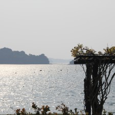 IMG_0618