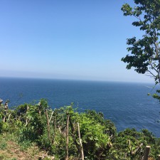 IMG_4050